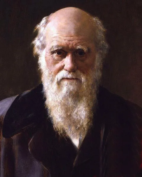 

SPECIAL OFFER -HIGH QUALITY OIL PAINTING-GEOLOGIST CHARLES DARWIN # 36 INCH TOP HOME DECOR ART ON CANVAS -FREE SHIPPING COST