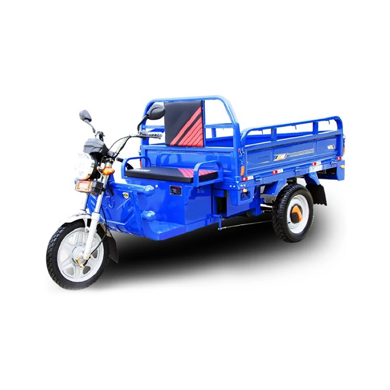 3 колеса взрослый Электрический грузовой трицикл тук Автомобильный велосипед