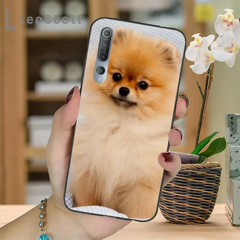 

Pomeranian dogs dog Phone Case For Xiaomi mi Redmi note 7 8t 9 9t 9s 8 10 10t 11 pro lite K20 max 3
