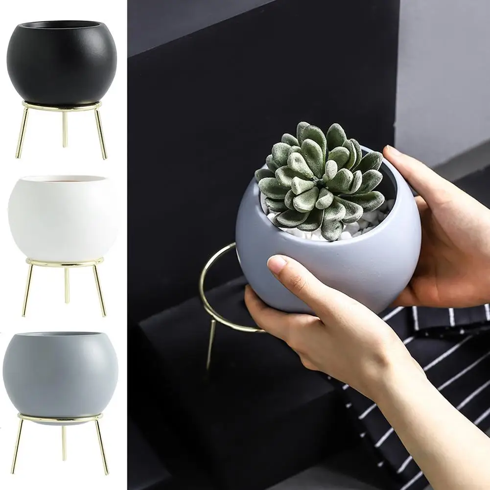 Белый керамический Средний суккулент кактус цветочное растение шестигранные