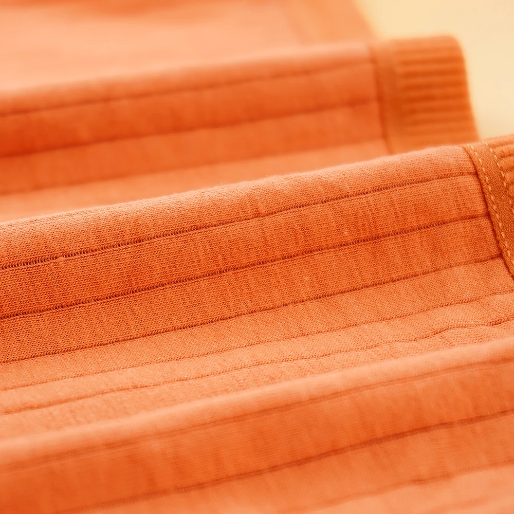 

2Pcs/Set Women's Cotton Briefs Threaded Breathable Panties 1XL-4XL Lingerie Briefs Casual Comfortable Underpants New Panty