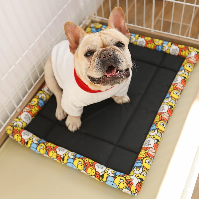 Четыре сезона общие Домашние животные плохой квадратный край собаки прохладное