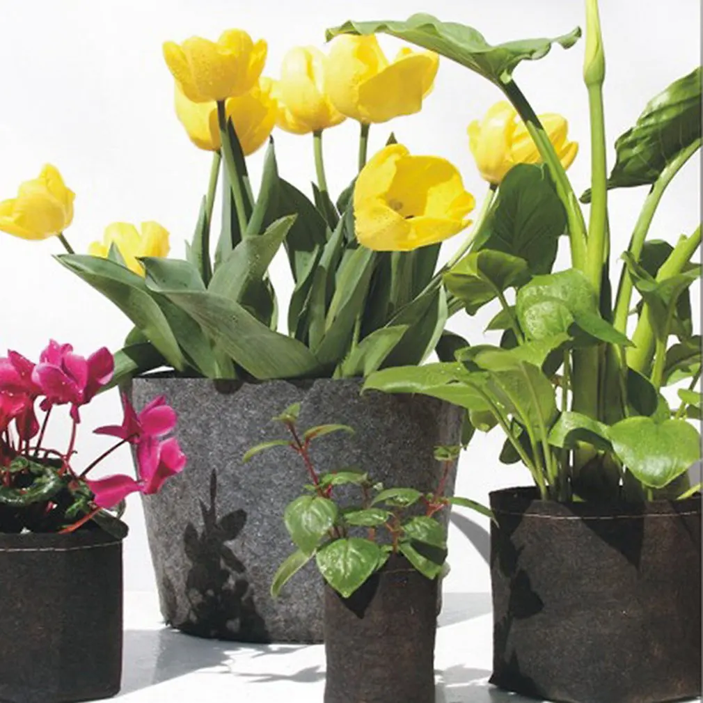 Садовые инструменты для дома растение рост рассады горшок картофель клубника