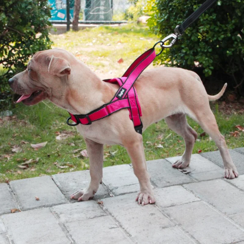 Dog Harness Easy on And Off Adjustable Medium Large Dogs Safety Clasp Dog Collar Outdoor Pet Supplies Correa Doble Para Perros A