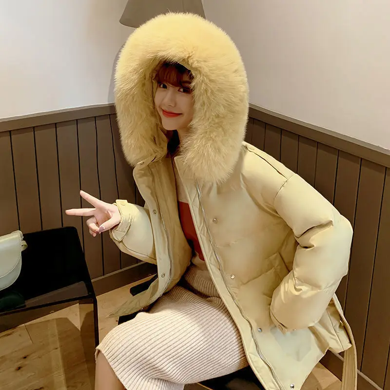 

HStar New Winter Women Fox Fur Collar 90% White Duck Down Coat Hooded Casual Female Warm Thick Long Snow Down Jackets Parkas