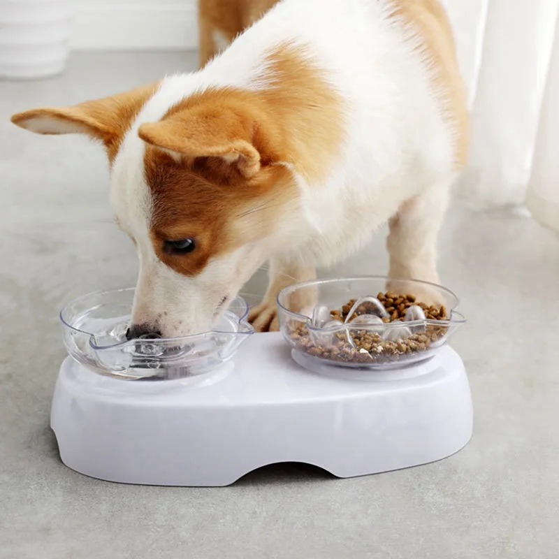 Кошачьи миски с двумя чашами 15 градусов наклона ПЭТ Еда и поилки для собак кошек
