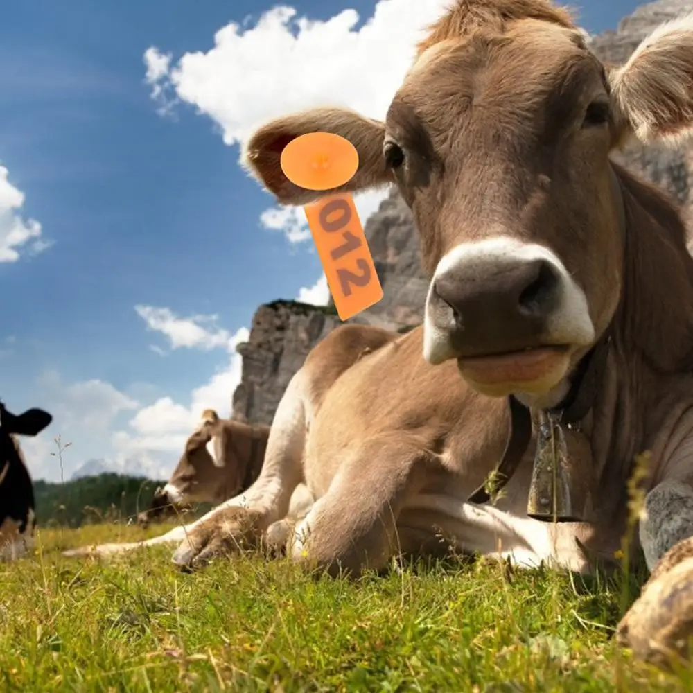 Ушная бирка для коров 100 шт. из ТПУ свиньи овцы козы с Медной - Цена: 1 031,95 руб.