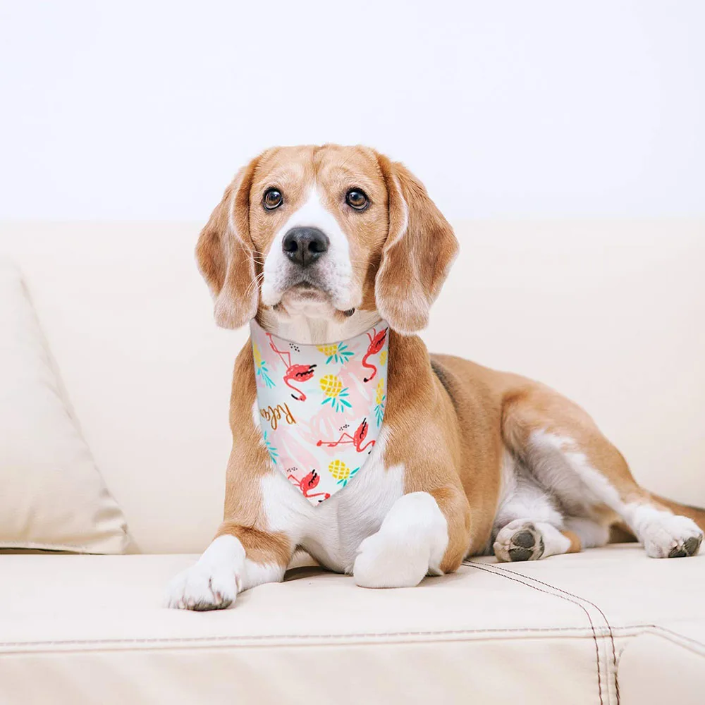 Популярная летняя бандана для собак с принтом шарф кошек и хлопковый