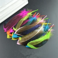 pheasant feathers for crafts 10 15cm 4 6 natural feathers for jewelry making wedding rooster feathers carnaval assesoires