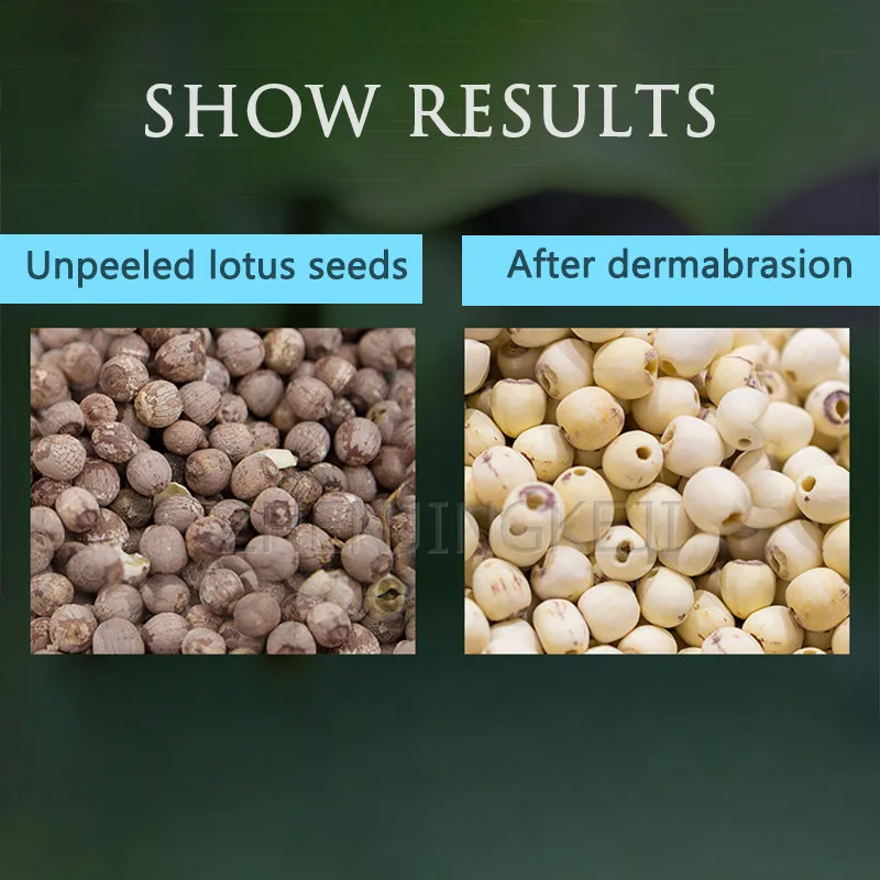 

Old Lotus Seed Microdermabrasion Machine Electric Red Lotus Seeds Polishing Whiten Machine Automatic Lotus Seeds Peel Off Tools