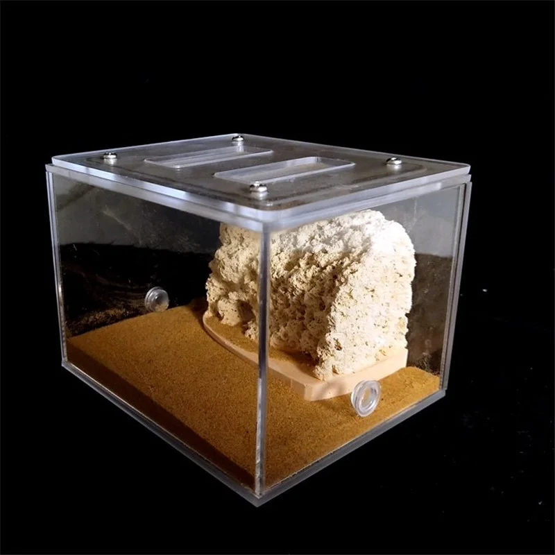 Sand Included Bionic Acrylic & Gypsum Ant Nest Housing Ants Farm Formicarium For Ant Colony