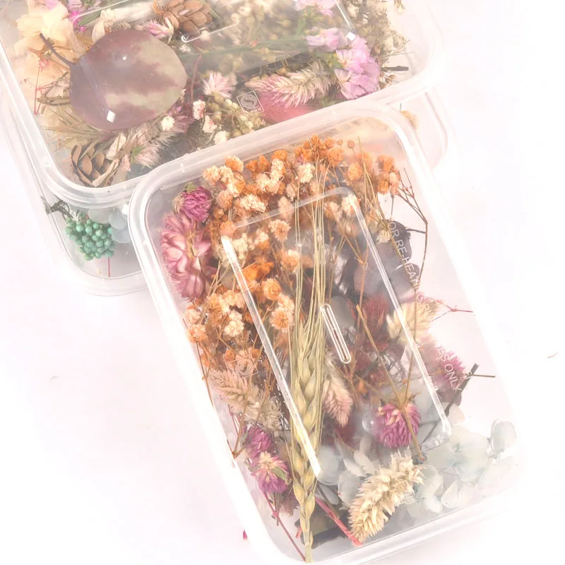 1 коробка случайные красочные настоящие сухие цветы растения для изготовления