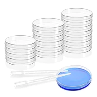 sterile plastic petri dishes with lidclear petri dishes with pipettes for laboratoryexperimental lessonscience