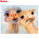 5D алмазная картина Страус, полностью квадратные Стразы, алмазная вышивка, полный дисплей, сделай сам, декор из алмазной мозаики для дома