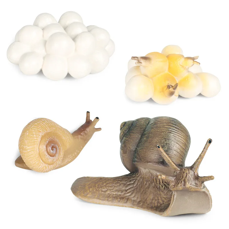 

Hot Simulation Animal Insect Model Mini Animals Snails Growth Cycle Ornaments Kids Cognitive Educational Toys for children Gift