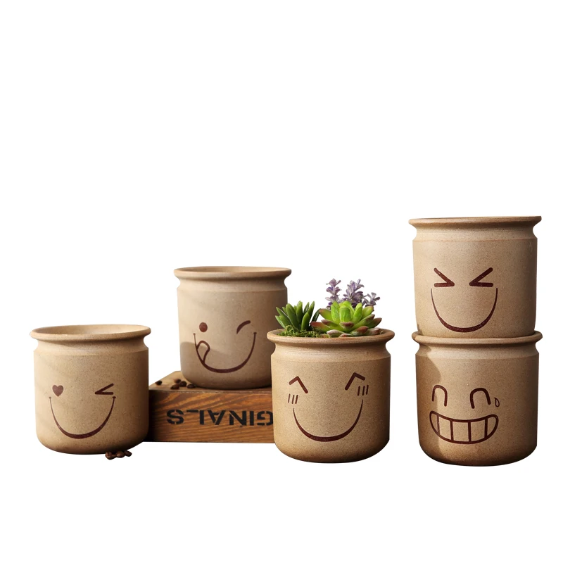 Пурпурный песок Ретро суккулент растительный ожог узор дышащий мясистый горшок