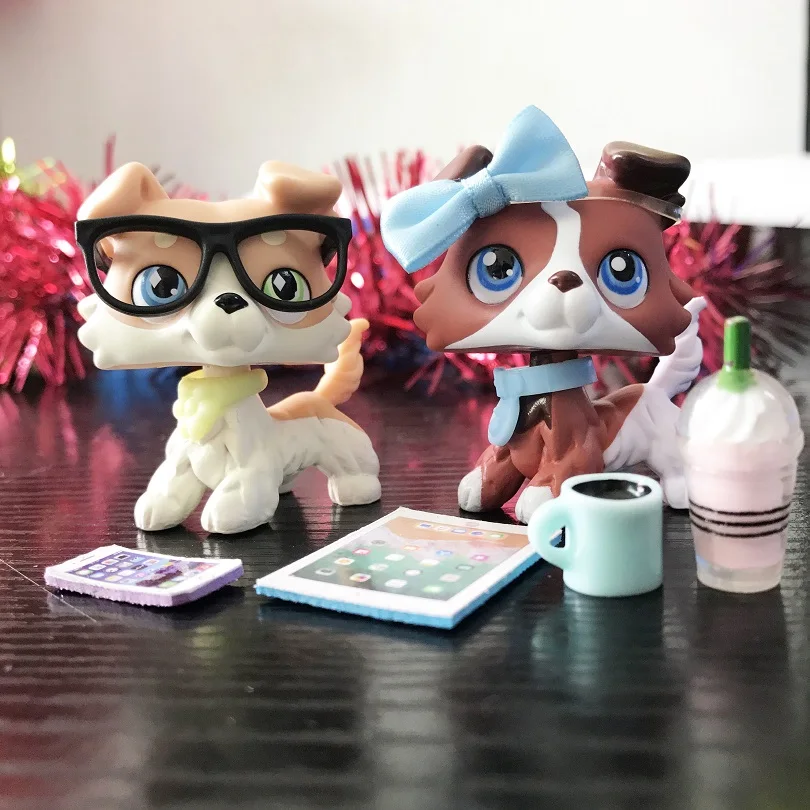 Магазин домашних животных ванильный колли кофе с аксессуарами очки телефон