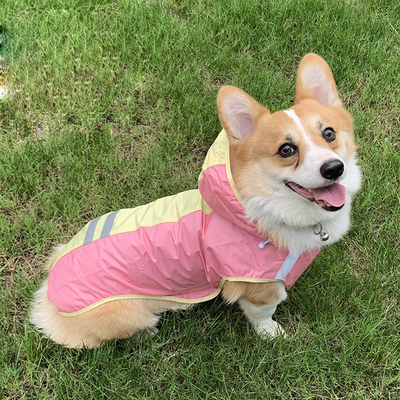 

Непромокаемый дождевик для домашних животных из полиэфирного волокна Radix Sileris, для путешествий и прогулок на улице, тонкая секция для малень...