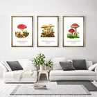 Винтажный агарический табурет, искусство на стену, античное искусство, ботанические картины, украшение для офиса