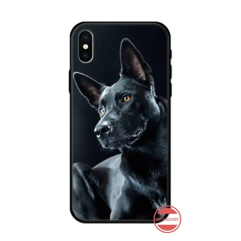 

Pit Bull Lovely Dog Pitbull animal luxury Phone Case cover for iPhone 11 12 pro XS MAX 8 7 6 6S Plus X 5S SE 2020 XR