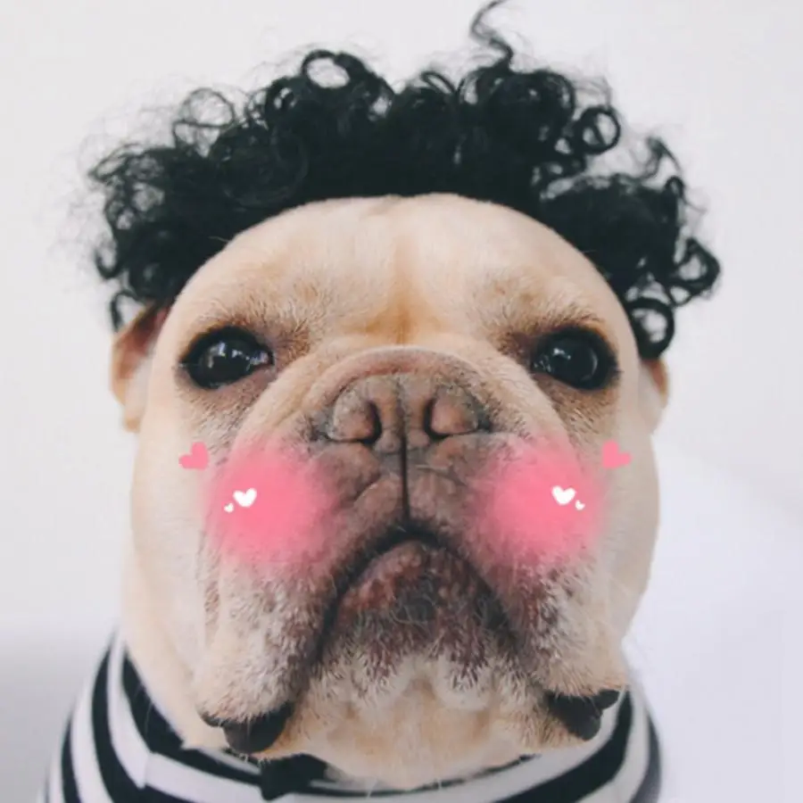 Забавный парик заколки для волос питомца собаки нарядная игрушка Хэллоуина