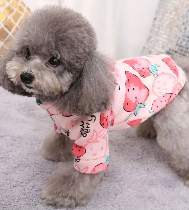 Одежда для щенков маленьких собак теплая хлопковая одежда чихуахуа куртка