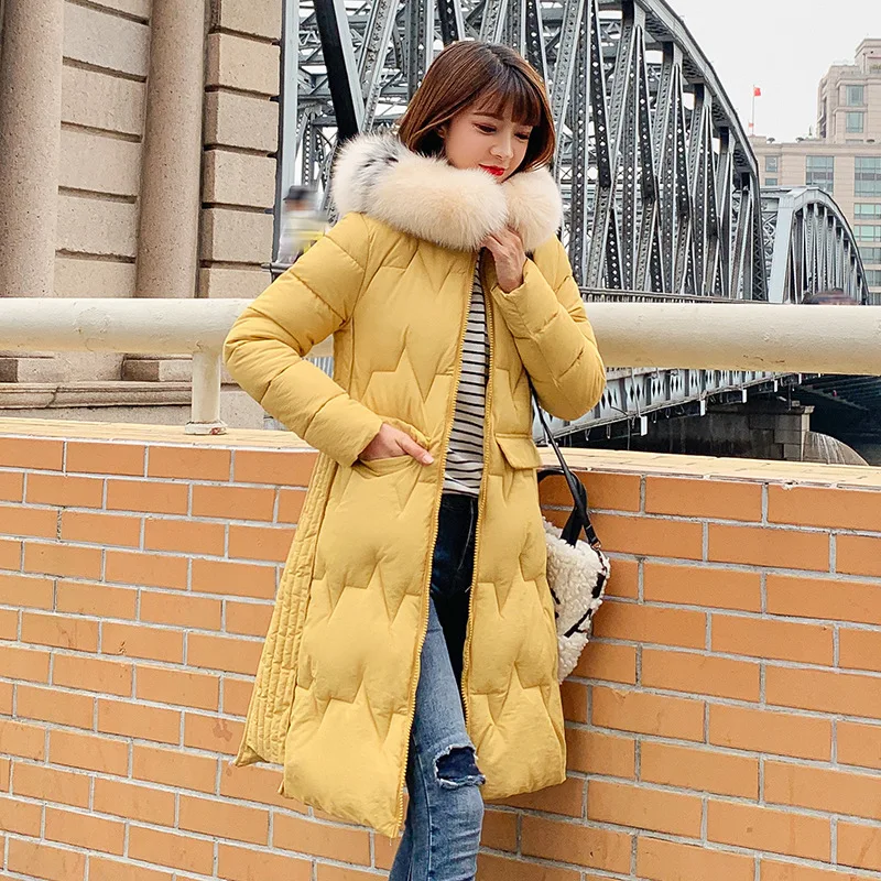 

Warm Winter Jacket Women Parkas Down parka woman large hair collar down jacket women's jacket winter