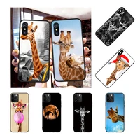 penghuwan cute animal giraffe phone case cover for iphone 11 pro xs max 8 7 6 6s plus x 5s se xr case