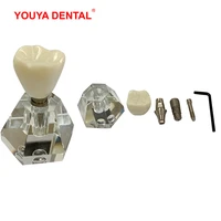 dentist crystal tooth implant model transparent dental implant practice model dentistry detachable teeth models dental supplies