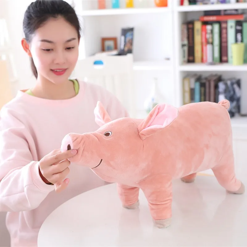 

Stuffed Animals & Plush