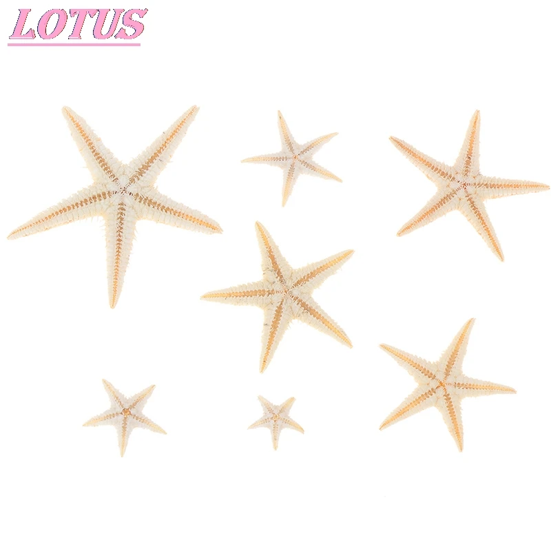 100 шт. морских ракушек размер 0 5 3 см мини Морская звезда крафтовое украшение