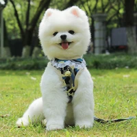 soft bell small dog harness leash set pet adjustable vest lead leash with cute lace printing pet vest breathable mesh cloth