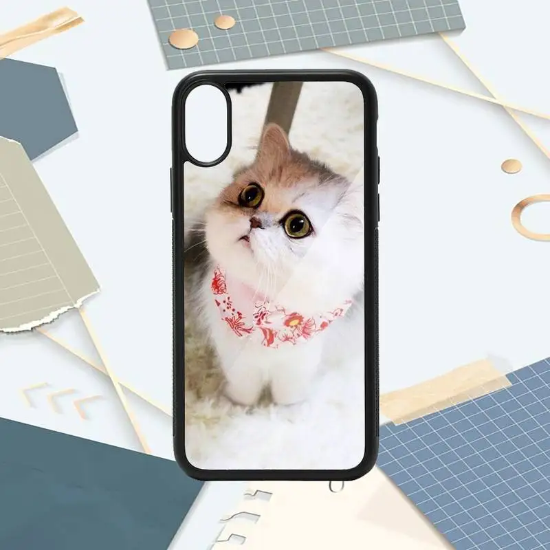 

Animal Cat cute pattern mobile Phone Case PC for iPhone 11 12 pro XS MAX 8 7 6 6S Plus X 5S SE 2020 XR