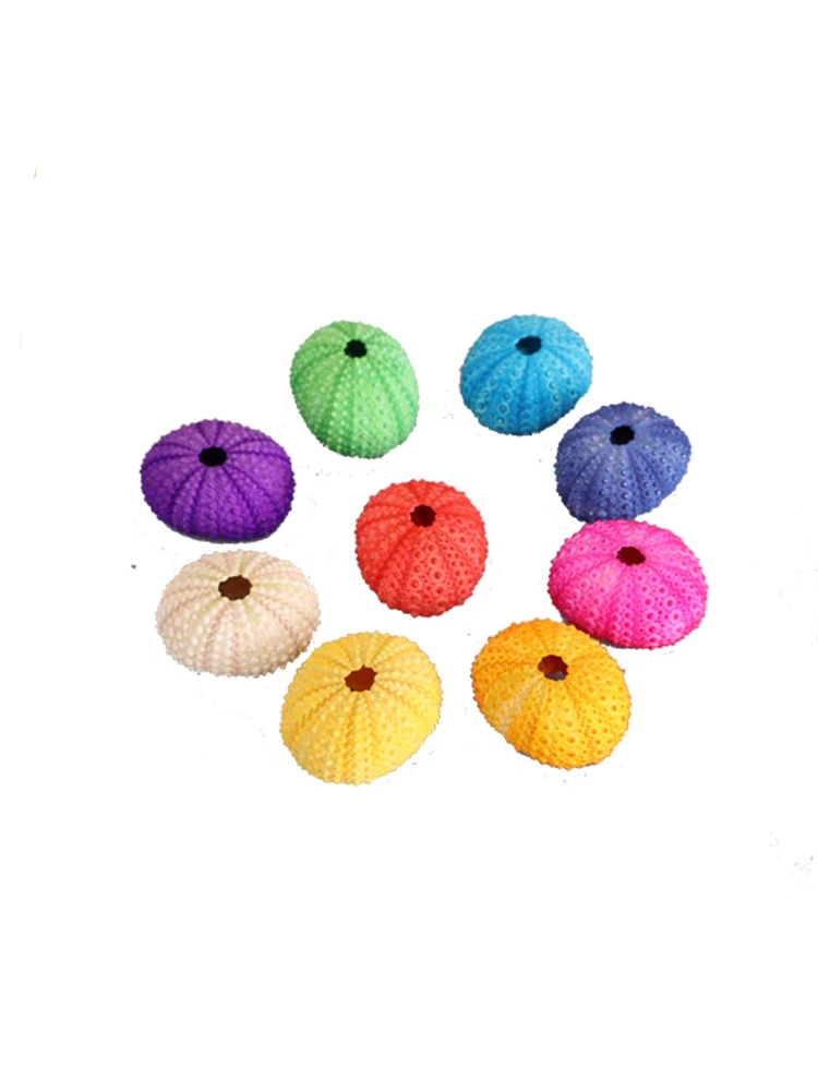HappyKiss натуральный морской urchins розовый дизайн раковины urchin украшение для окна