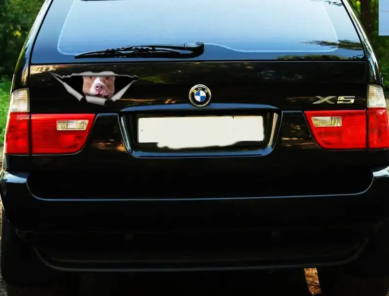 

2021 Pitbull sticker, car decal, Vinyl decal,Pet sticker, Dog decal, Pitbull decal