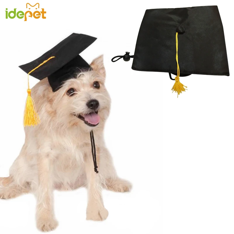 Милая женская шапка с кроликом модная для кошек и собак повседневная холщовая