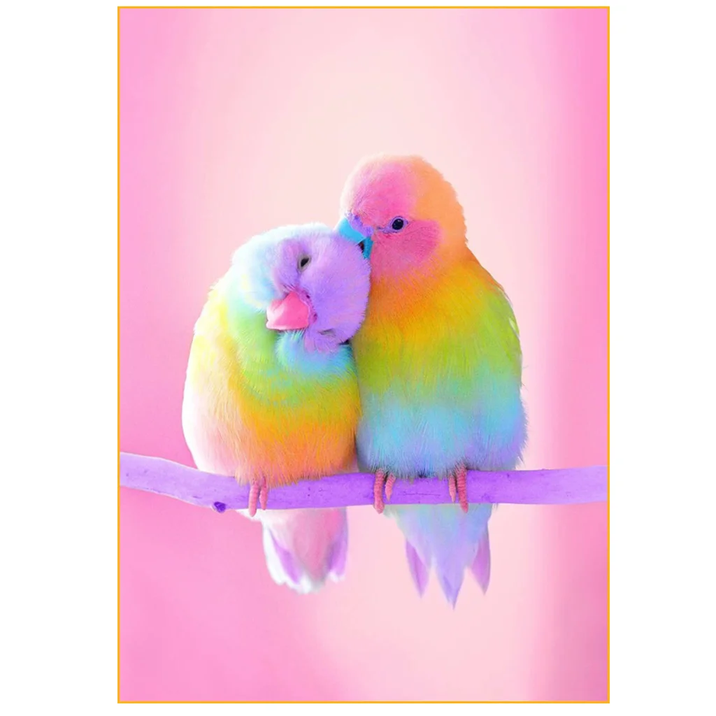 

5D draw animal square drill full drill bird DIY cross stitch decorative painting 40 * 50cm for sale