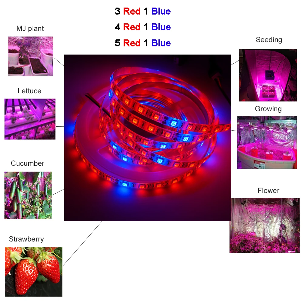 5M DC12V Phyto Lamps Full Spectrum LED Strip Light 300 LEDs SMD 5050 LED Fitolampy Grow Lights For Greenhouse Hydroponic plant