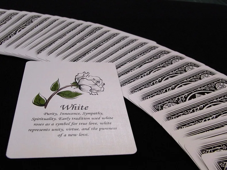 Tally Ho обратный Роза карточные игры вентилятор обратно красочные палубе Ellusionist