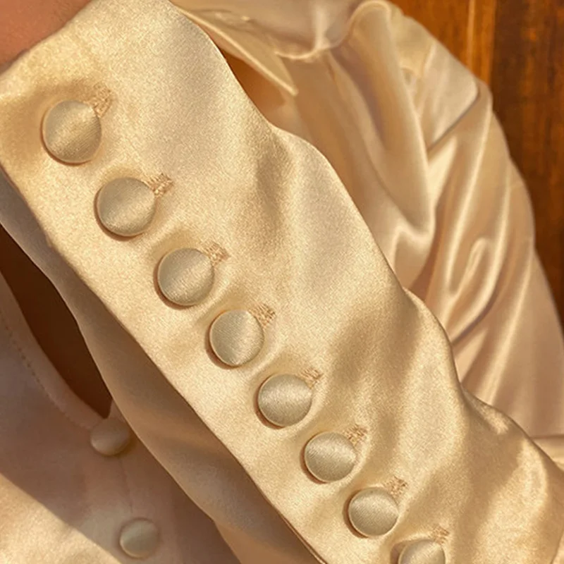 

Elegant Autumn Blouse Women Chiffon Vintage Satin Lantern Sleeve V-Neck Slim Shirt Tunic Tops Female Fashion 2020 Ladies Blouse