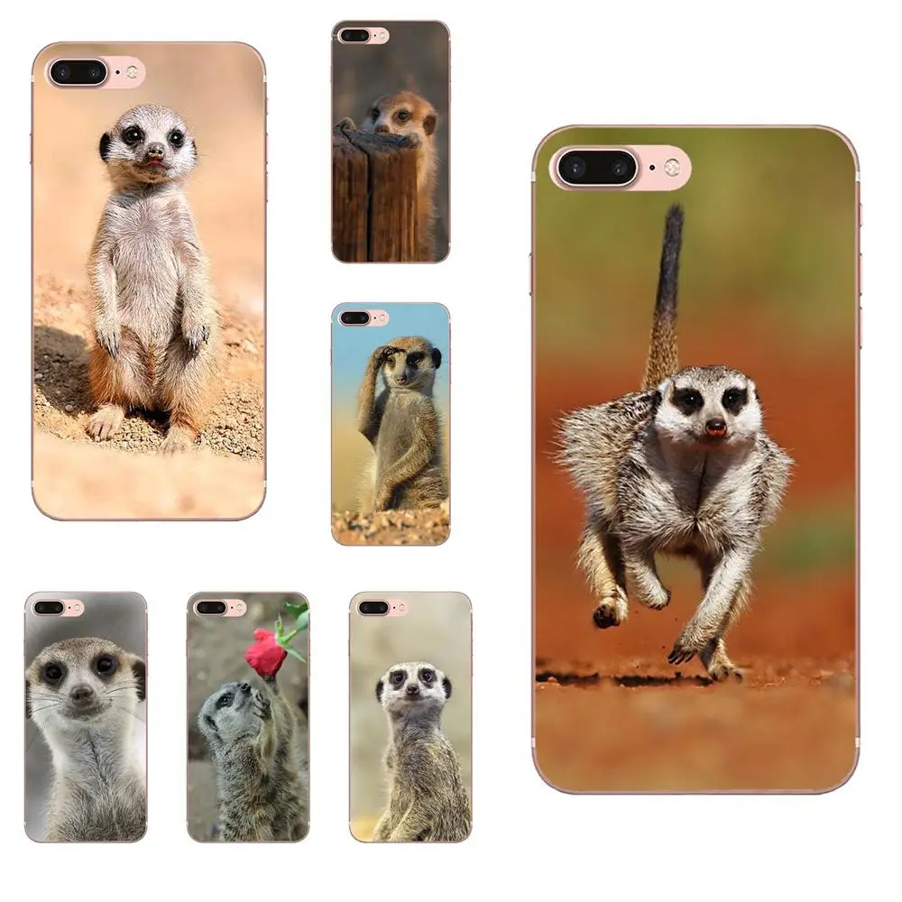 Для Galaxy Grand A3 A5 A7 A8 A9 A9S On5 On7 Plus Pro Star 2015 2016 2017 2018 мягкие ТПУ чехлы Capa Meerkat Manor|Бамперы| |