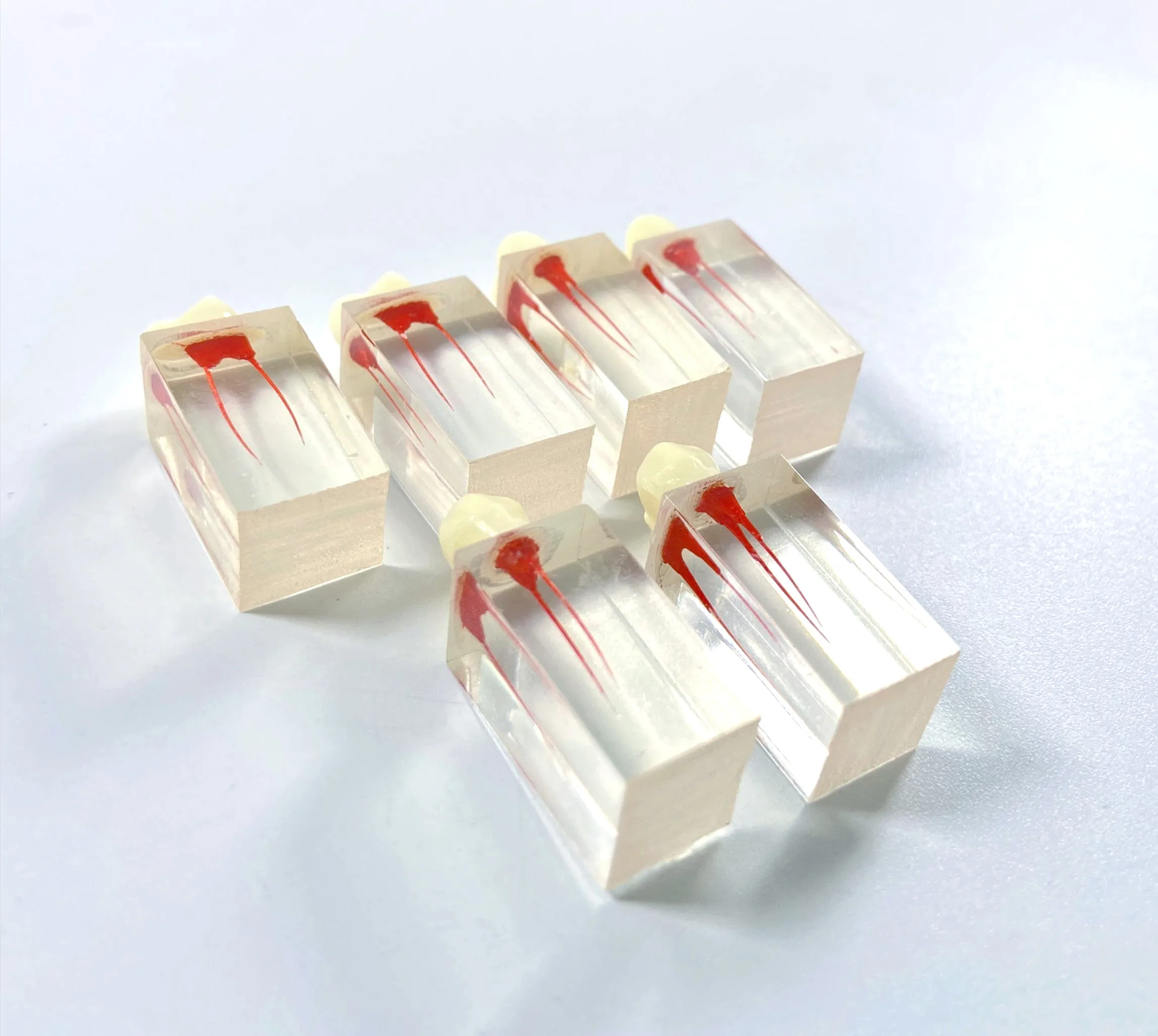 Модель для обучения стоматологии обучающий блок RCT корневой канал зубы обучение