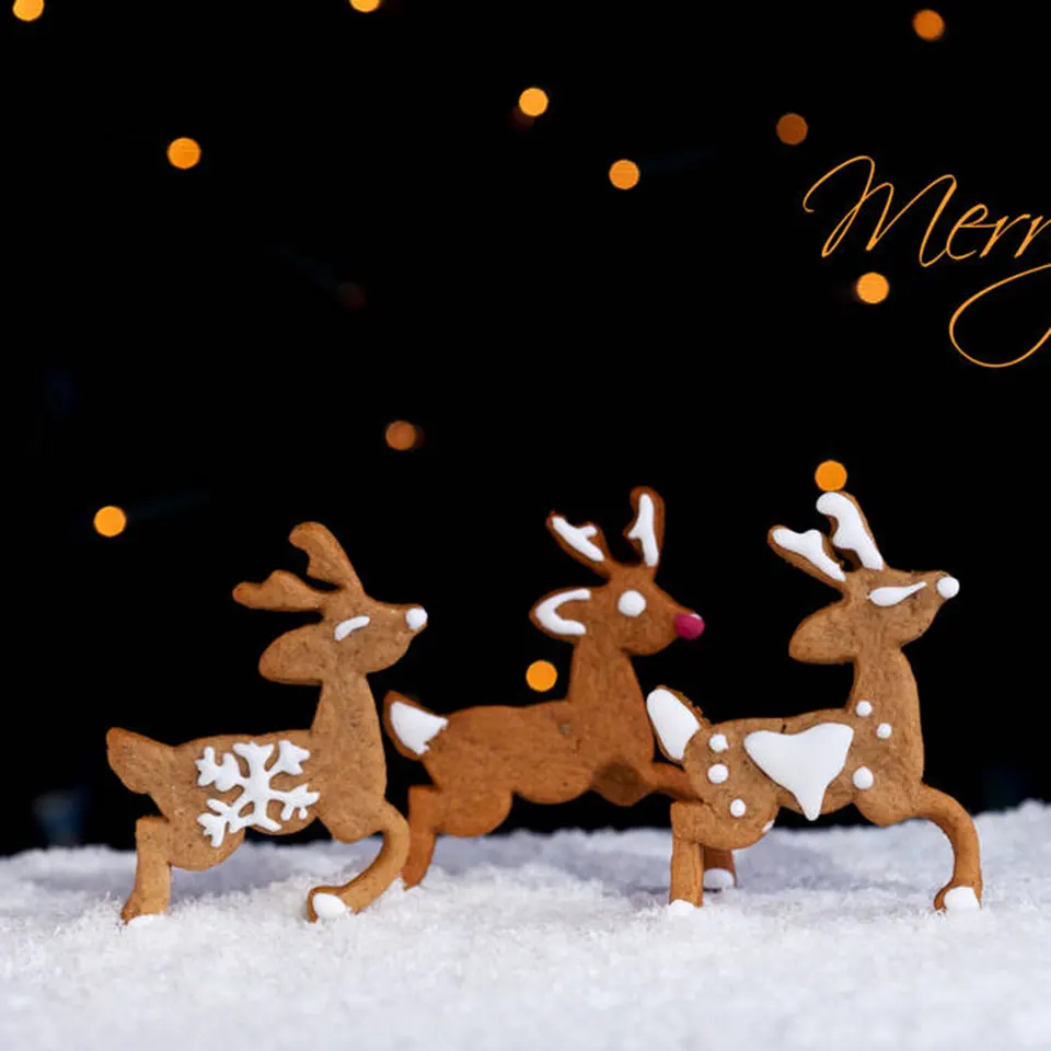 1 шт. Рождественский олень печенья резак из нержавеющей стали помадка пряники