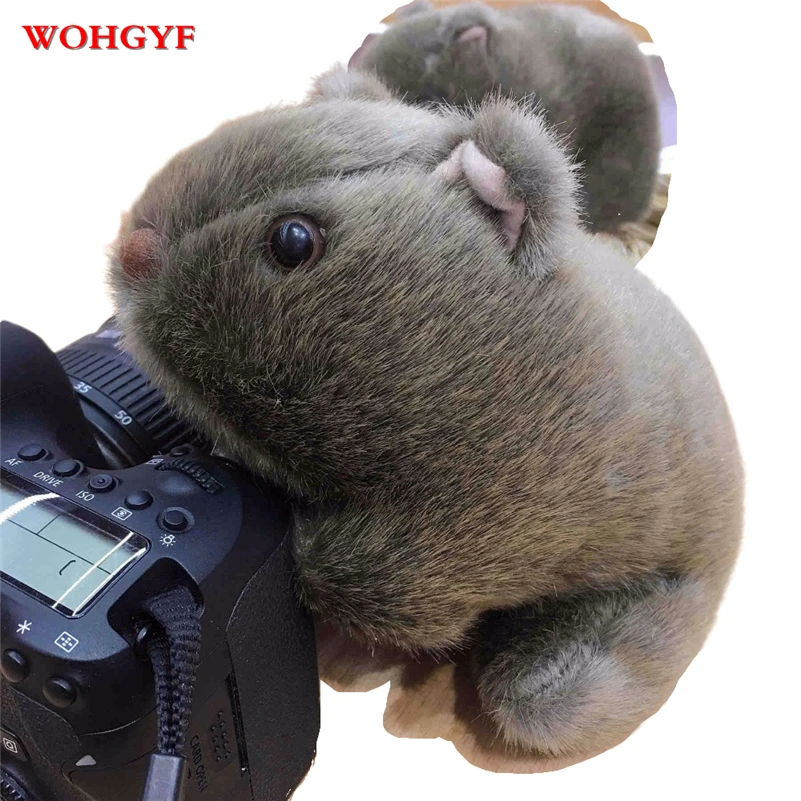 1 шт. 18 см Моделирование Плюшевые вомбат свинки Cavia Porcellus игрушка чучело дикие
