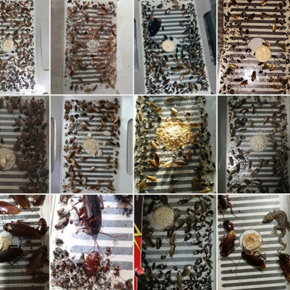 Ловушка для тараканов Pitfall House Killer Bug Insect Net Bait Catch Glue Home Pest Control Roach Black Beetle Blackbeetle Room on.