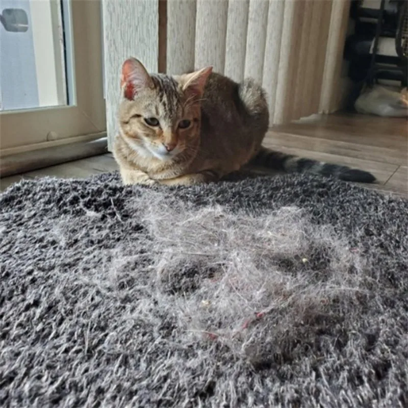 Щетка для удаления волос на ковровых покрытиях |