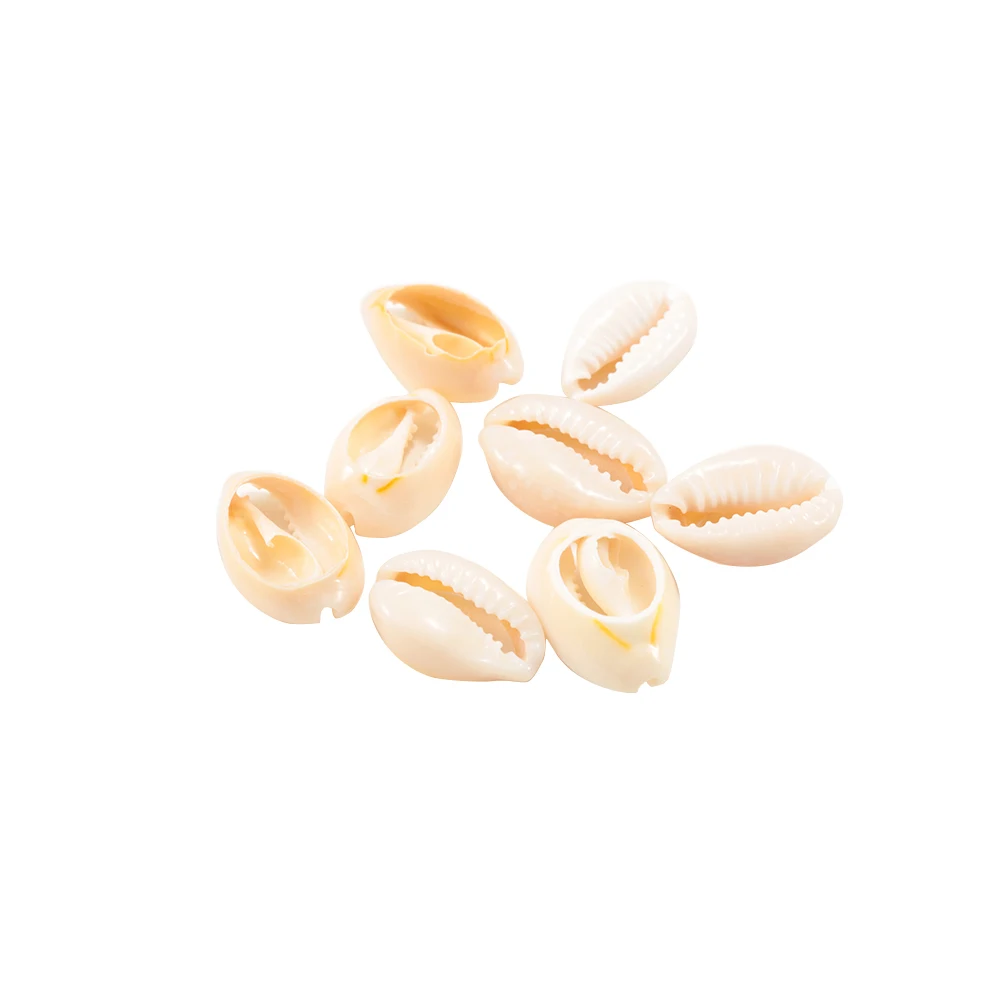 30 шт./пакет кремово белая натуральная морская раковина украшения дома аквариум