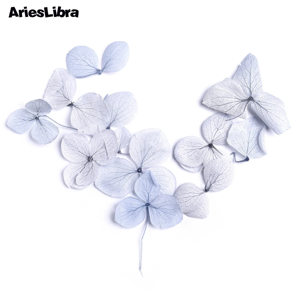 Сушеный 3D цветок гортензии AriesLibra натуральный самодельный маникюр наклейка для