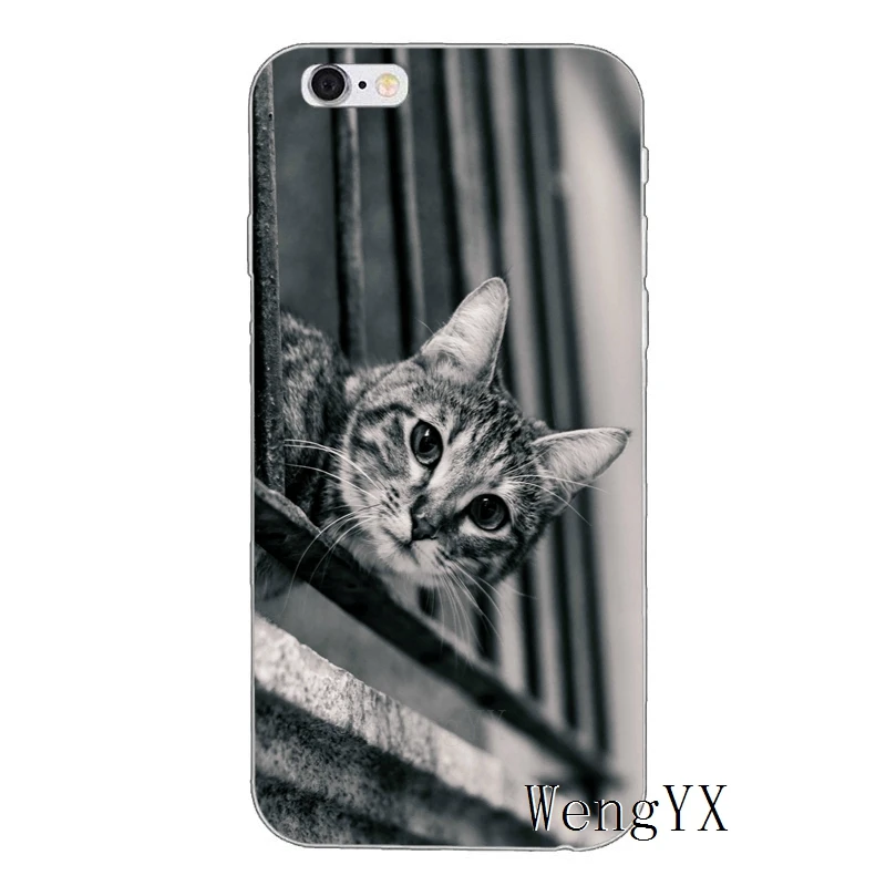 Черный чехол для iPhone 11 Pro XS Max XR X 8 7 6 6S Plus 5 5S SE 4s 4 iPod Touch|Бамперы| |