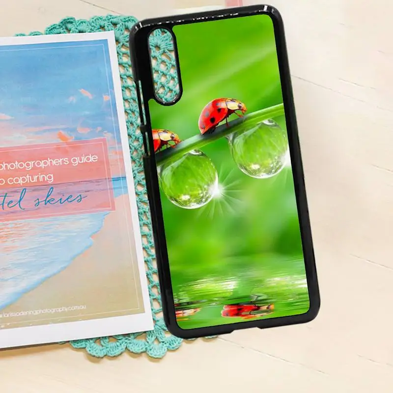 

four leaf ladybug daisy mobile Phone Case PC for iPhone 11 12 pro XS MAX 8 7 6 6S Plus X 5S SE 2020 XR